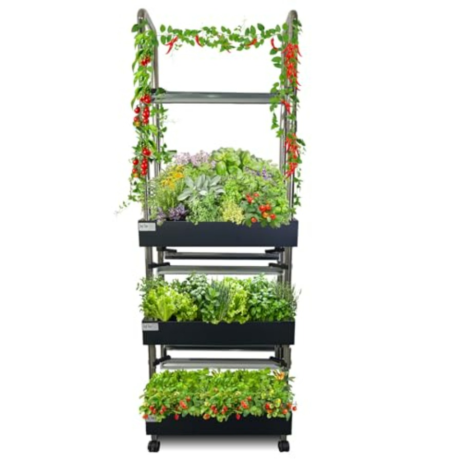 Smart Garden Indoor - System hydroponiczny do uprawy roślin w