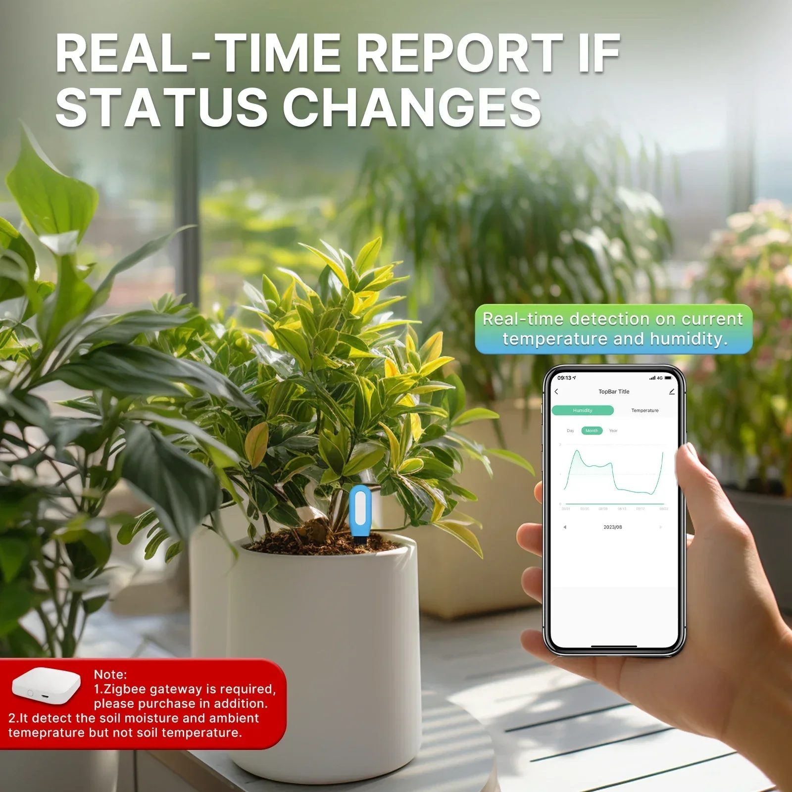 MOES Smart ZigBee miernik temp – Smart Garden Zigbee recenzja i cena
