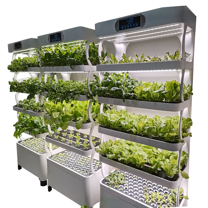 Inteligentny, niskobudżetowy,  – Smart Garden Indoor recenzja i cena