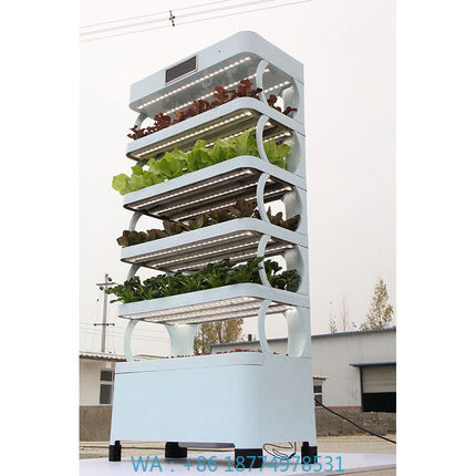 Systemy hydroponiczne do upraw – Smart Garden Indoor recenzja i cena