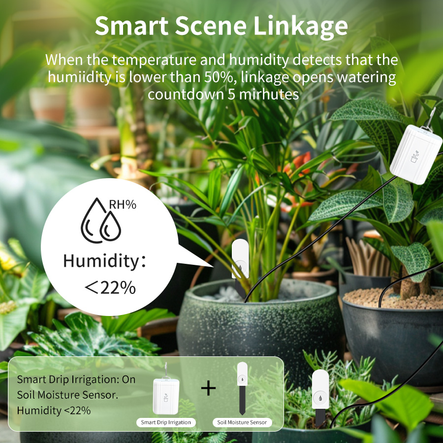 Inteligentny tester gleby Zigb – Smart Garden Zigbee recenzja i cena