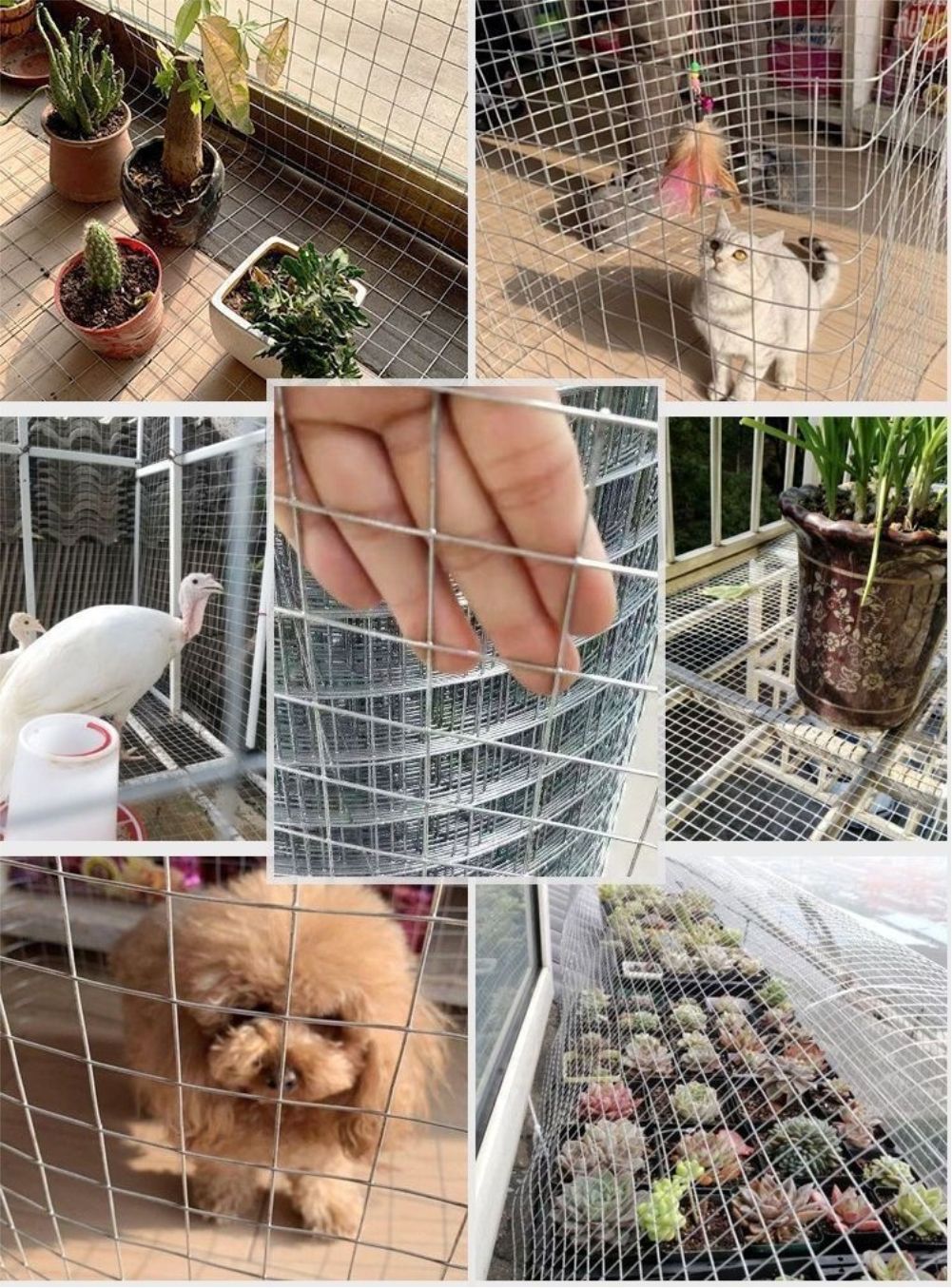Oplot z drutu galwanizowanego  – Smart Garden Fence recenzja i cena
