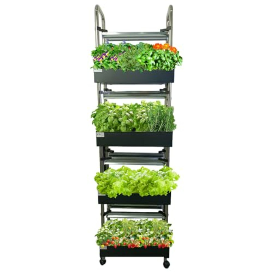 System hydroponiczny do uprawy – Smart Garden Indoor recenzja i cena